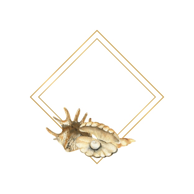 Cornice d'oro disegnata a mano con conchiglie spiaggia illustrazione acquerello conchiglie su uno sfondo bianco isolato