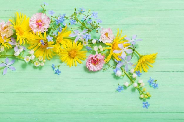 Cornice di bellissimi fiori su legno verde