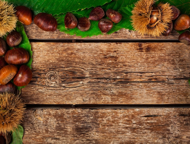 Cornice di castagne, foglie e castagne.