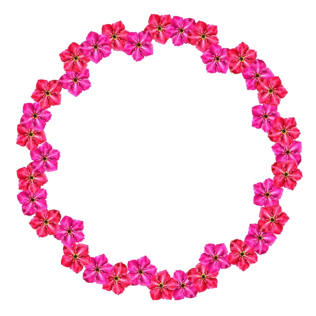 Cornice di cerchi floreali dell'acquerello di fiori forgetmenot per il giorno di san valentino di nozze di compleanno