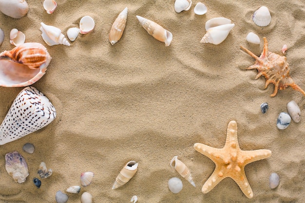 Cornice di conchiglie, stelle marine e ciottoli di mare su sfondo di spiaggia di sabbia. Superficie strutturata in riva al mare naturale, vista dall'alto, copia spazio