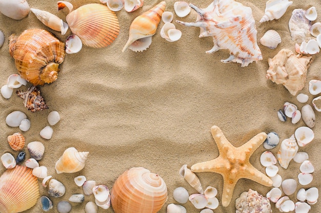 Cornice di conchiglie, stelle marine e ciottoli di mare su sfondo di spiaggia di sabbia. Superficie strutturata in riva al mare naturale, vista dall'alto, copia spazio