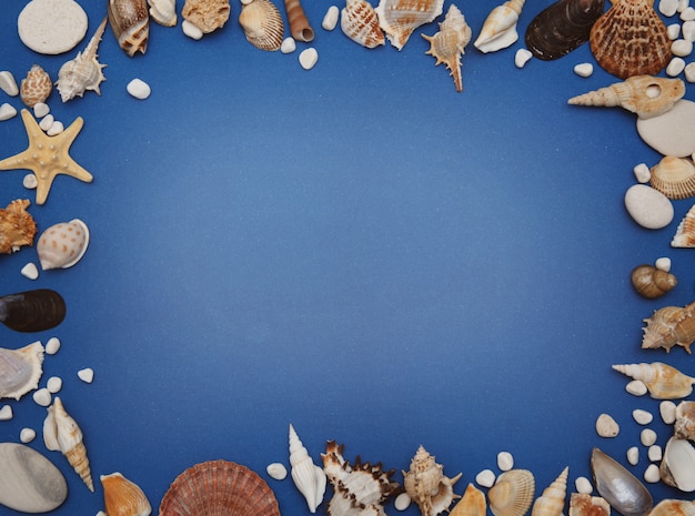 Cornice di conchiglie su sfondo blu. Seashells e stelle marine su una priorità bassa blu scuro.