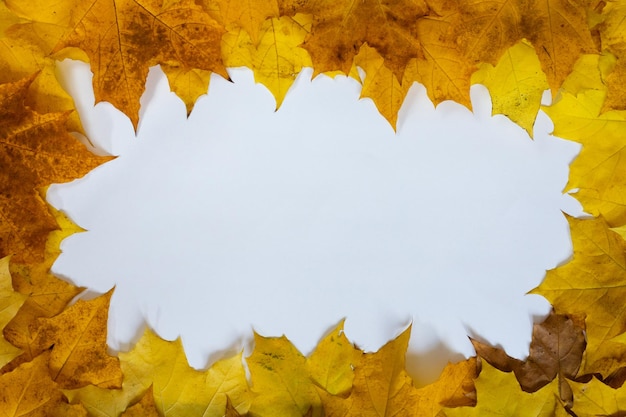 Cornice di confine di foglie d'autunno vista dall'alto