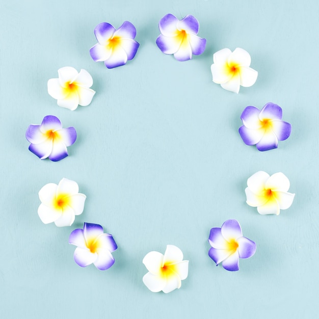 Cornice di fiori di frangipane viola e bianco su legno blu