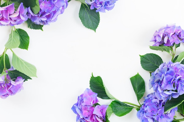 Cornice di fiori di hortensia blu e viola su bianco con spazio di copia a colori dell'anno 2022 blu molto peri