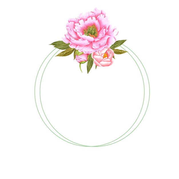 Cornice di fiori di peonia rosa acquerello disegnato a mano con foglie verdi e boccioli su sfondo bianco