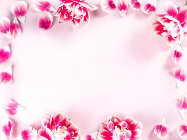 Cornice di fiori di peonia rosa su sfondo rosa Vista dall'alto Copia spazio