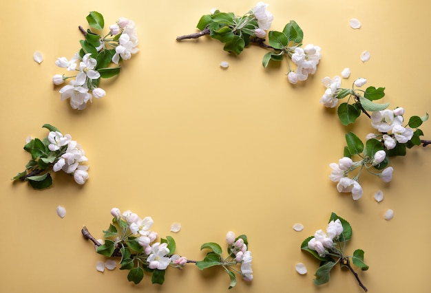 Cornice di fiori di un albero di mele