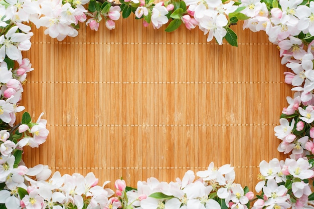 Cornice di fiori primaverili di sakura su bambù