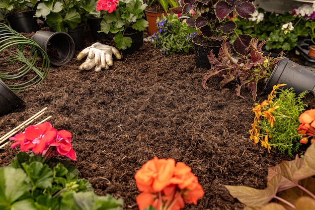 Cornice di fiori primaverili