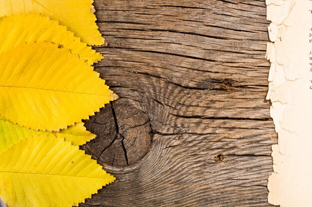 Cornice di foglie autunnali e vecchia carta su fondo in legno grunge