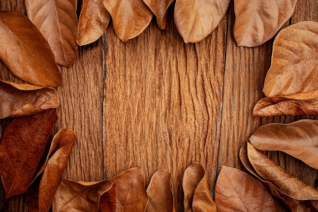 cornice di foglie autunnali su sfondo di legno vecchio vintage