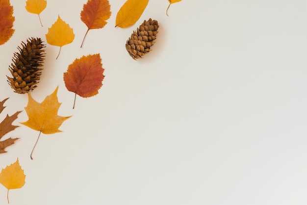 Cornice di foglie cadute autunnali su fondo beige