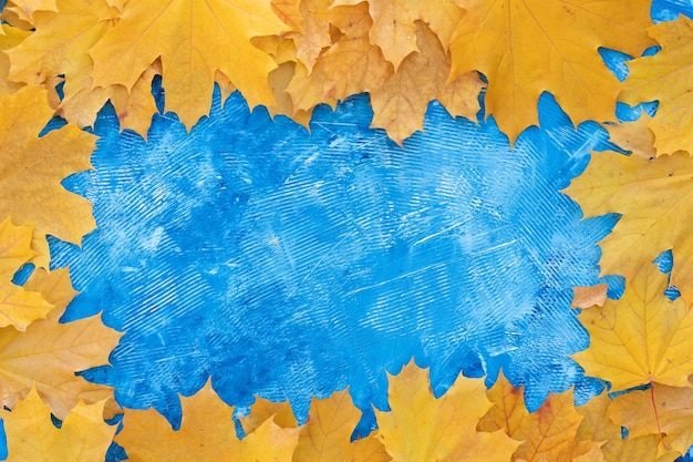 Cornice di foglie d'autunno su sfondo blu vista dall'alto