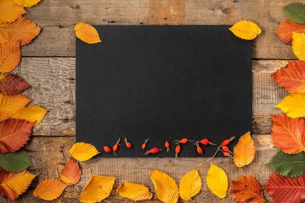 Cornice di foglie d&#39;autunno sulla superficie della lavagna