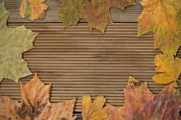 Cornice di foglie di autunno su sfondo di legno.