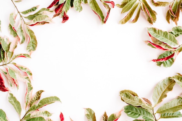 Cornice di foglie rosse e verdi su bianco