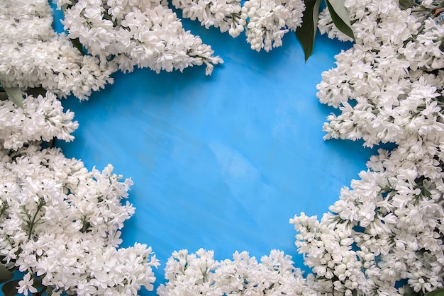 Cornice di lillà bianco su sfondo blu