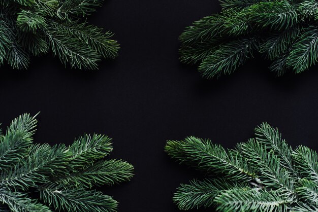 Cornice di Natale. Spazio per il testo tra i rami degli alberi di Natale su uno sfondo nero.