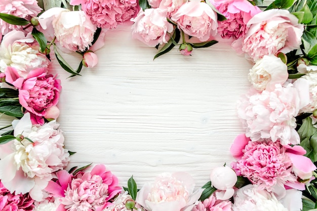 cornice fatta di bellissime peonie rosa su sfondo bianco Vista piatta laica dall'alto Sfondo di San Valentino Cornice floreale Cornice di fiori Trama di fiori