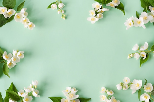 Cornice fatta di fiori e rami di gelsomino su verde.