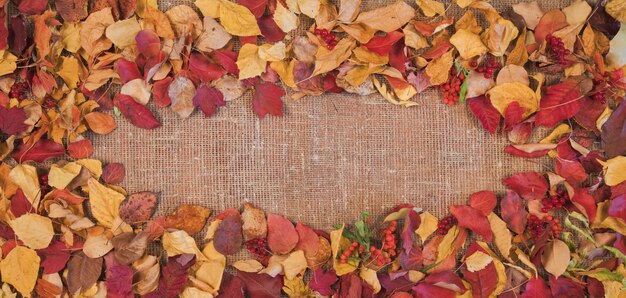 Cornice fatta di foglie su uno sfondo di tela, banner, tema autunnale