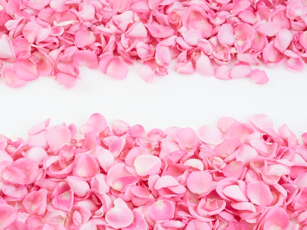 Cornice fatta di petali di rose rosa