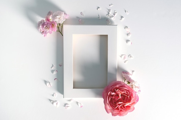 Cornice floreale di fiori rosa su sfondo bianco o rosa Vista dall'alto piatta Concetto di primavera ed estate Design del telaio teste di rose margherite Spazio vuoto Modello per un biglietto di auguri romantico