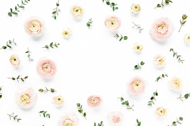 Cornice floreale fatta di boccioli di fiori di ranuncolo rosa e rami di eucalipto su sfondo bianco piatto la