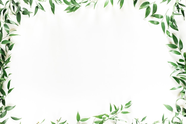 Cornice foglia verde albero su bianco