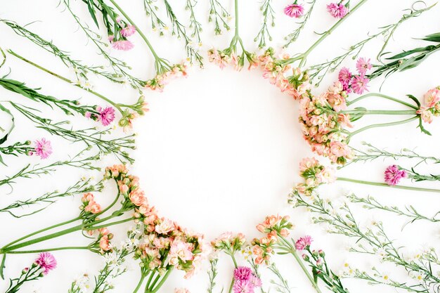 Cornice ghirlanda fatta di fiori di campo. Sfondo di San Valentino