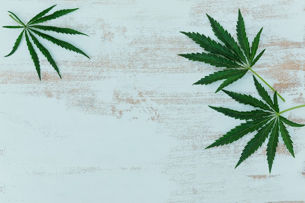 Cornice minimalista con foglie di cannabis