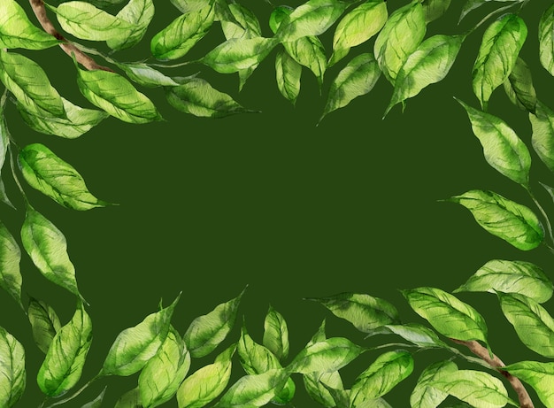 cornice orizzontale ad acquerello con illustrazione di foglie verdi su un ramo di ramo di pesca o albicocca nettarina schizzo di elemento naturale isolato su sfondo verde
