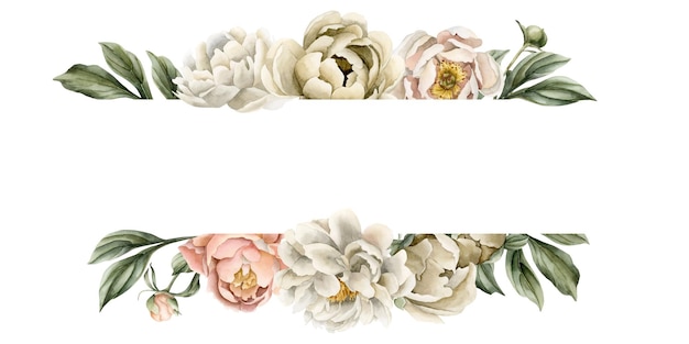 Cornice orizzontale di fiori e foglie di peonia beige bianca Illustrazione ad acquerello isolata su bianco