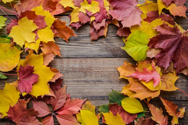 Cornice orizzontale di foglie d'autunno