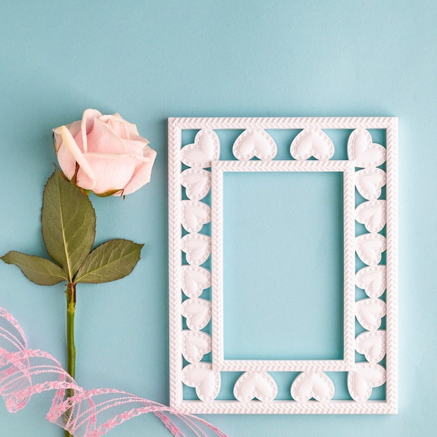 Cornice per foto, una rosa rosa su una superficie blu pastello