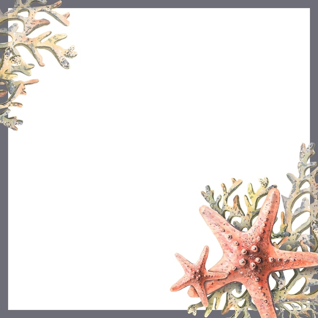 Cornice quadrata con stelle marine e coralli in colore corallo Illustrazione ad acquerello Per la decorazione, la decorazione e il design di cartoline souvenir poster di carta adesivi stampe inviti