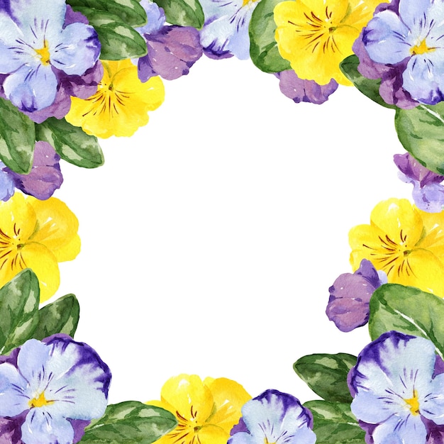 cornice quadrata dell'acquerello con fiori di viola del pensiero disegnati a mano e foglie fiori primaverili viola e gialli