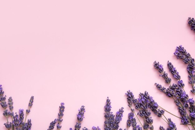 Cornice realizzata con fiori di lavanda su sfondo colorato vista dall'alto Copia spazio