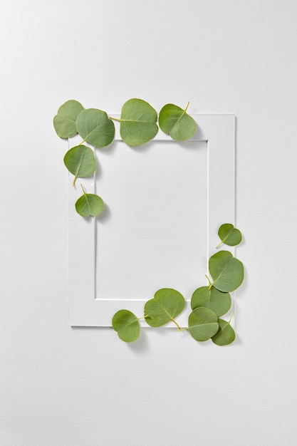 Cornice rettangolare decorativa fatta a mano da foglie sempreverdi naturali della pianta di eucalipto su uno sfondo grigio chiaro con spazio di copia. Lay piatto.