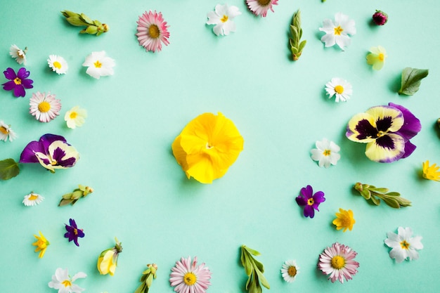 Cornice rotonda con fiori primaverili, dettagli piatti su sfondo verde. Concetto di natura dal design minimalista