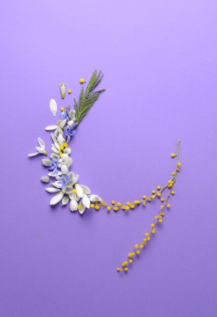 Cornice rotonda di fiori bucaneve mimosa e composizione floreale di salici su sfondo viola