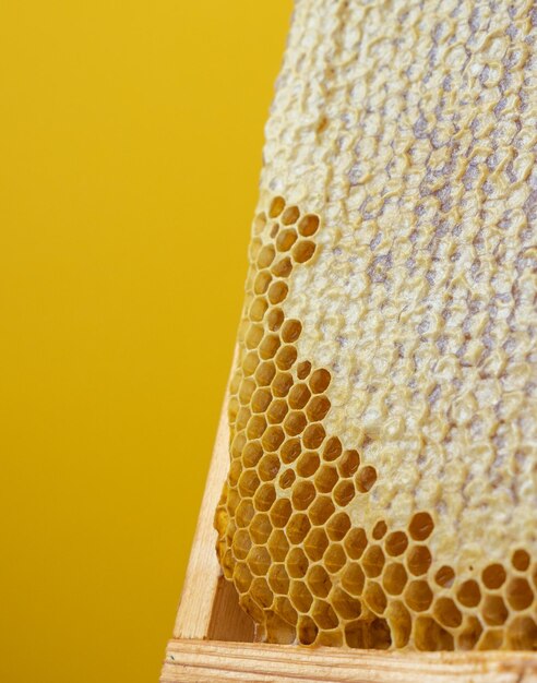 Cornici di favi. Miele fresco. Prodotto biologico naturale delle api. Uno stile di vita sano. Foto ravvicinata.