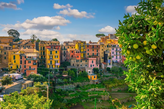 Corniglia, paesaggio urbano colorato sulle montagne sul Mar Mediterraneo nelle Cinque Terre Italia Europa