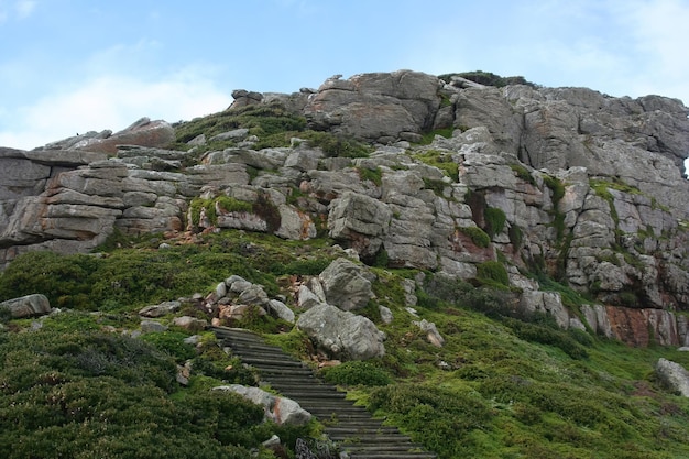 Corno del Capo Sud Africa