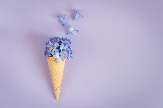 Corno di gelato o cono con giacinto viola su uno sfondo viola.
