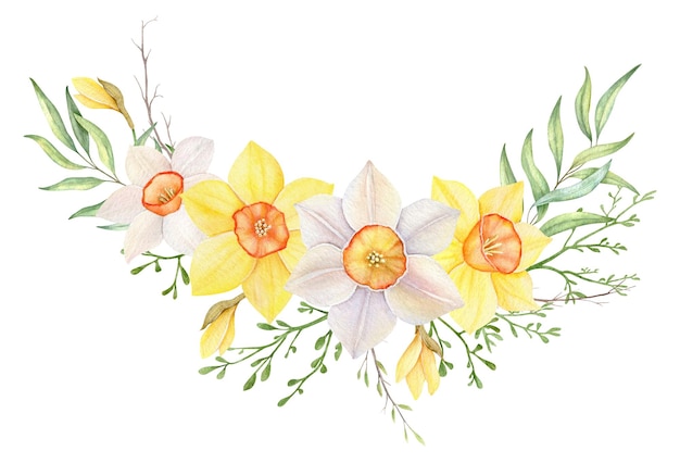 Corona dell'acquerello di narcisi gialli e bianchi cornice dipinta a mano illustrazione con fiori primaverili