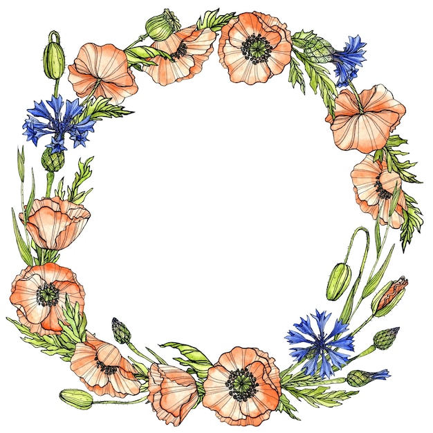 Corona di fiori di campo, fiordalisi e papaveri su bianco Illustrazione disegnata a mano dell'acquerello dell'inchiostro