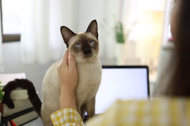 Coronavirus. Donna di affari che lavora da casa con il gatto Quarantena domestica di concetto